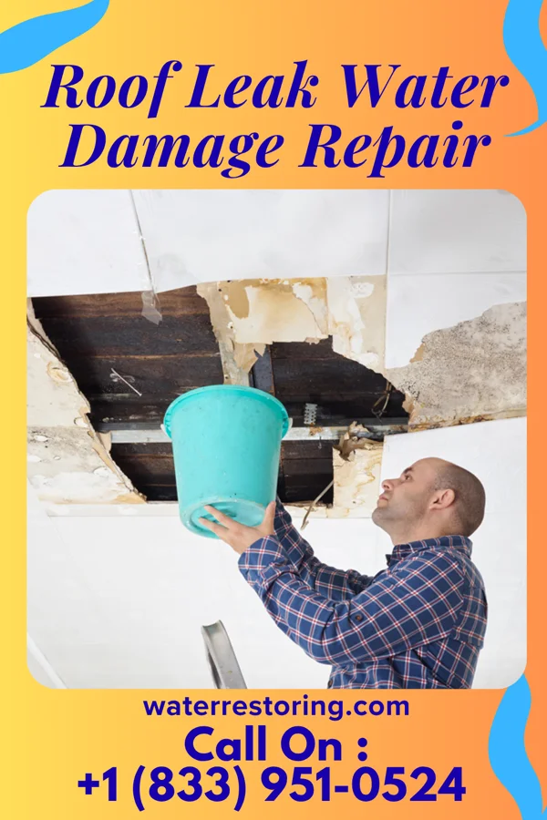 Roof Leak Water Damage Repair in Fletcher, NC