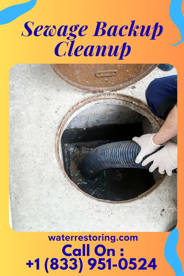 Sewage Backup Cleanup in Fletcher, NC